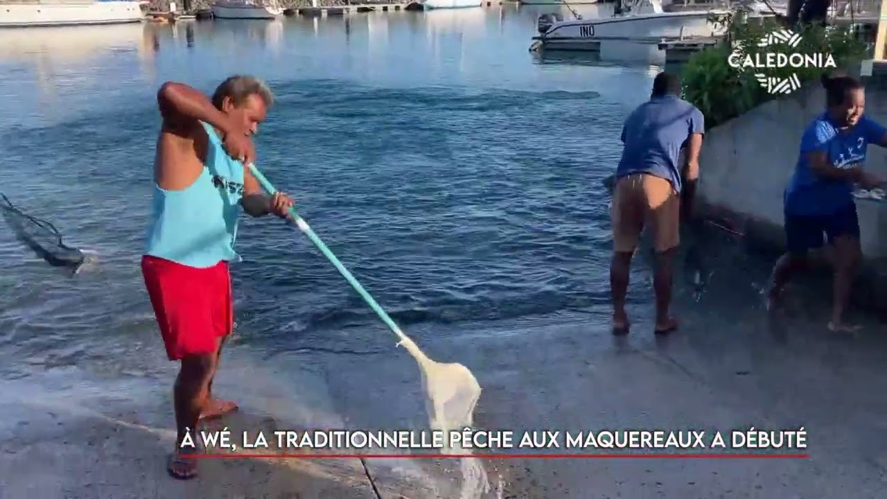 À Wé, la traditionnelle pêche aux maquereaux a débuté