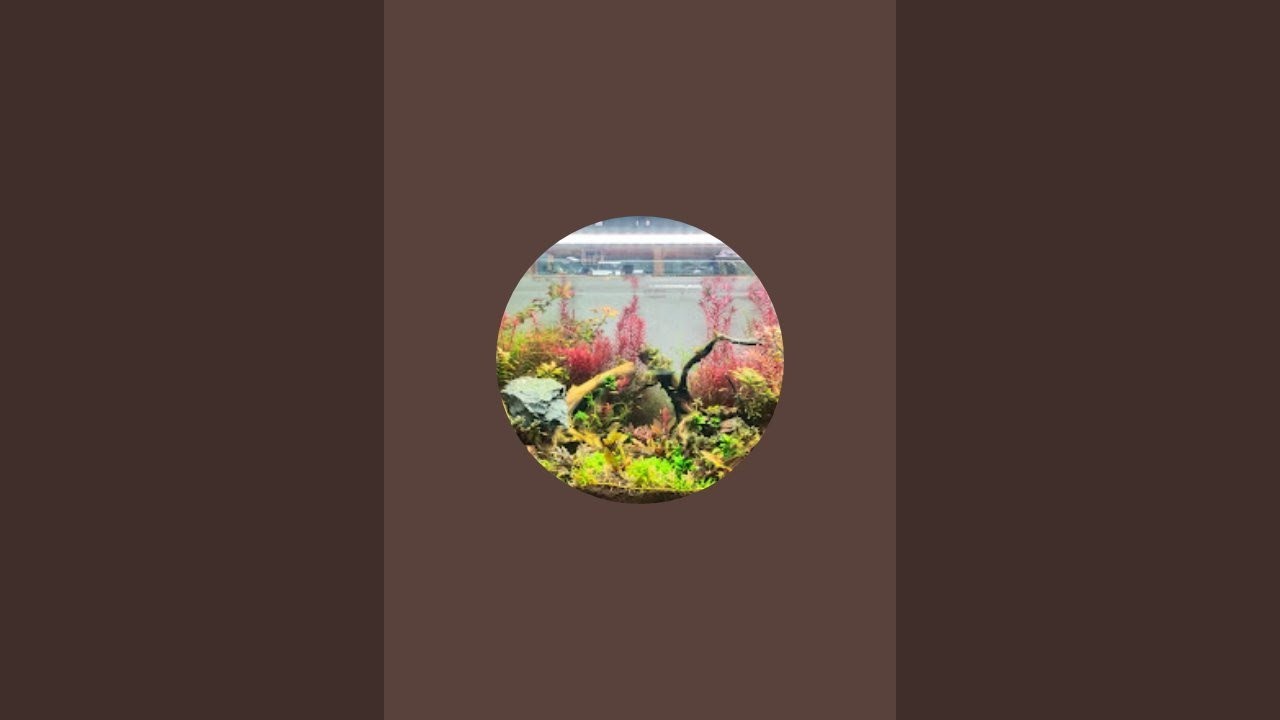 fishes_world is live!