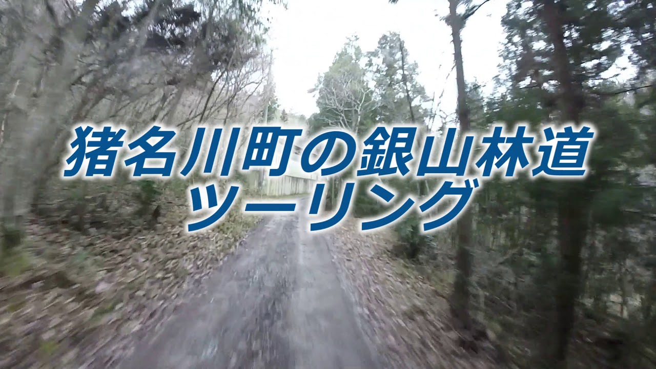 瀬郎がトコトコ行く！ 猪名川町の銀山林道ツーリング