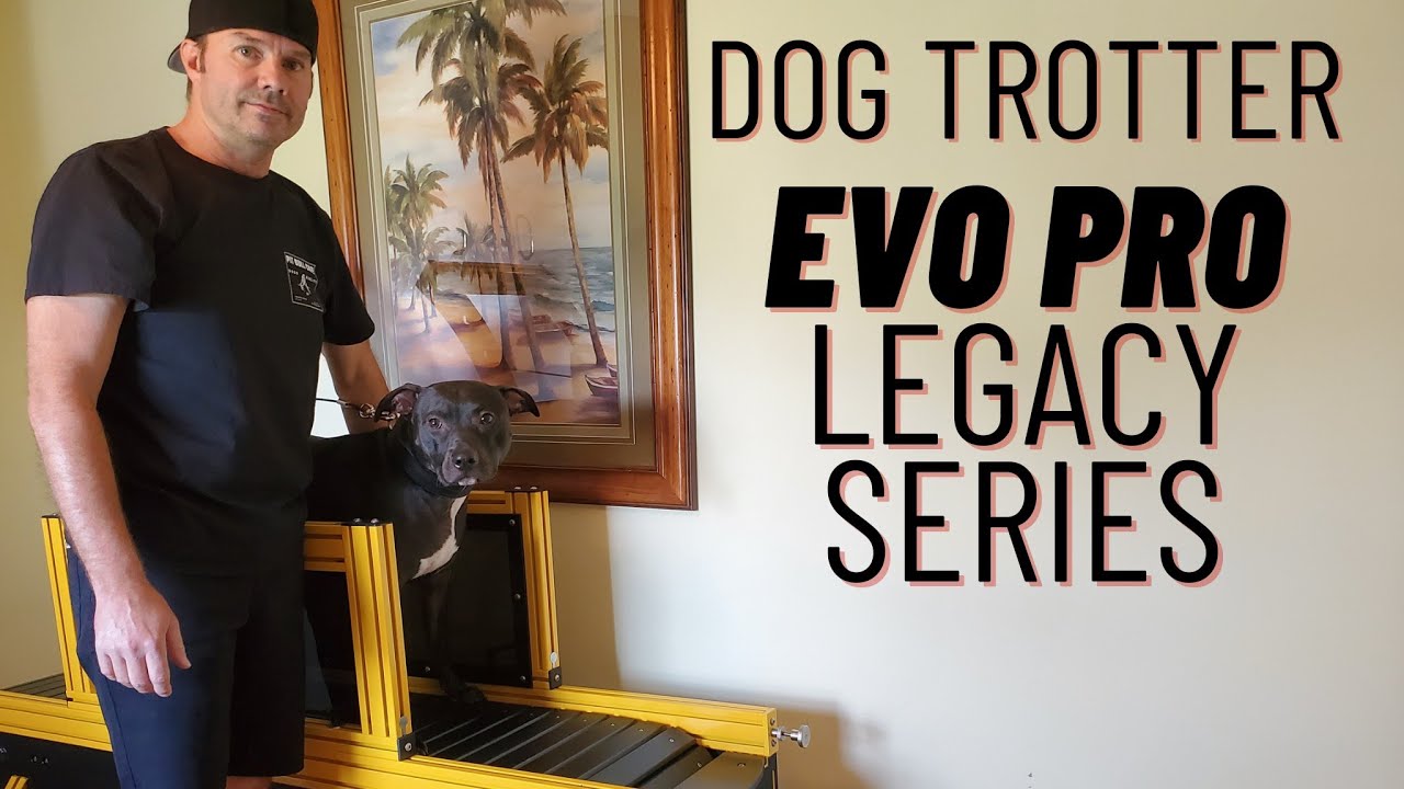 Evo Pro Legacy Series Dog Trotter Mill Product Review