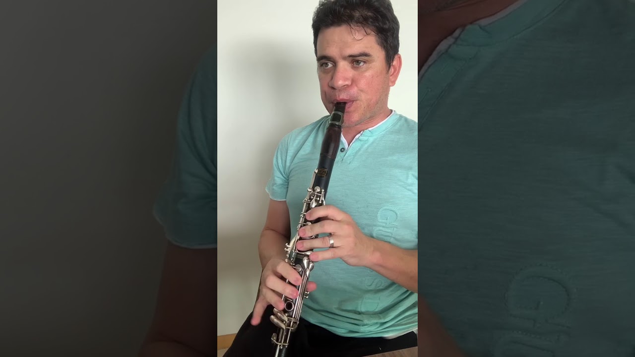Desvairada na Clarineta - Ademir Junior