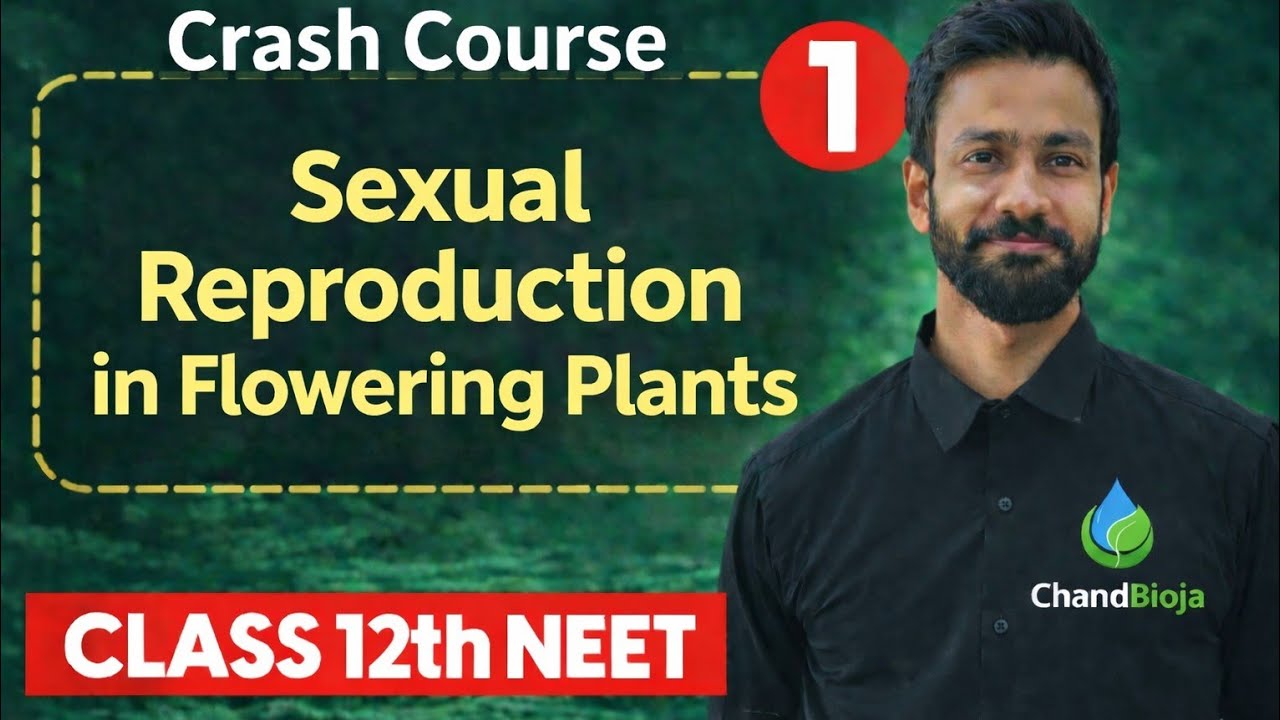 Sexual Reprofuction in flowering plants |NEET | 2026 Crash Course | RBR-Series | By Chandan Sir