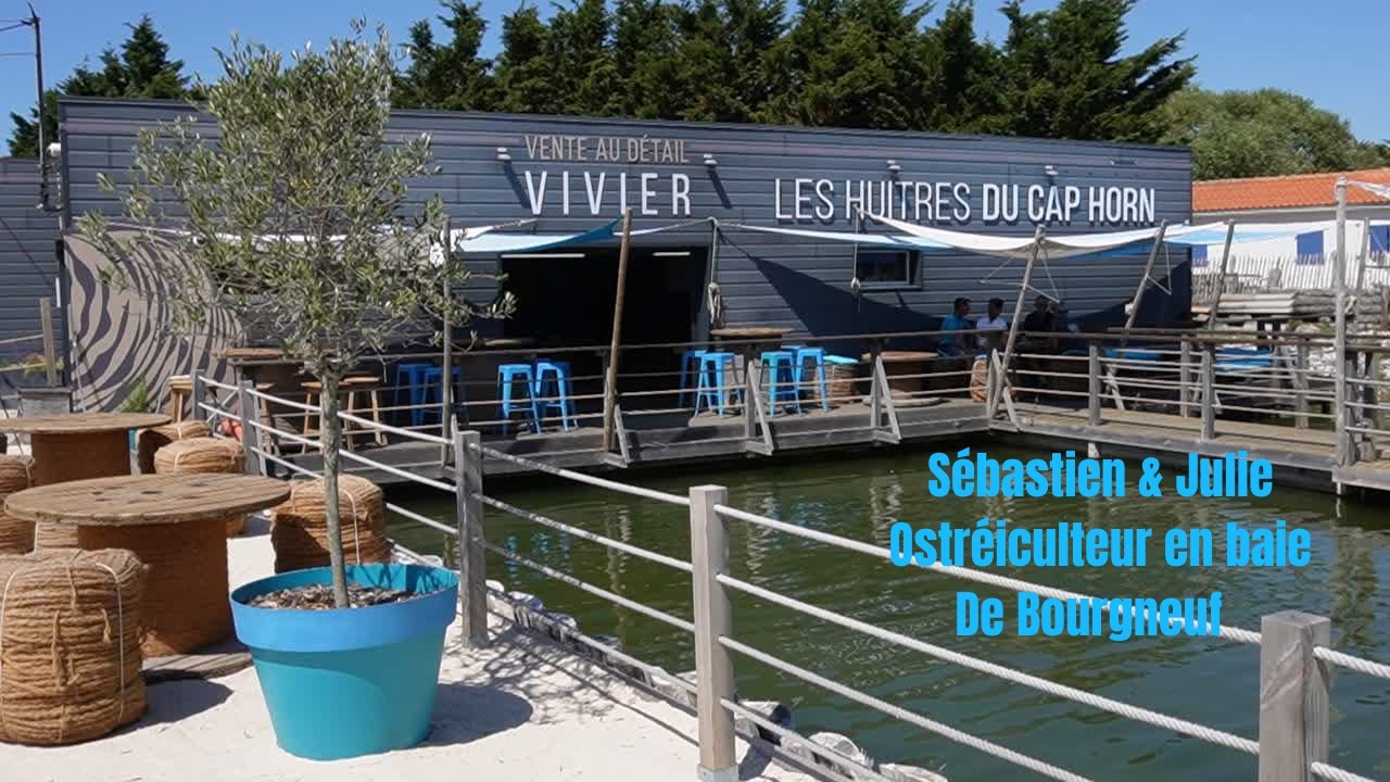 Découverte des Huîtres du Cap Horn en Baie de Bourgneuf avec Sébastien & Julie Vairé