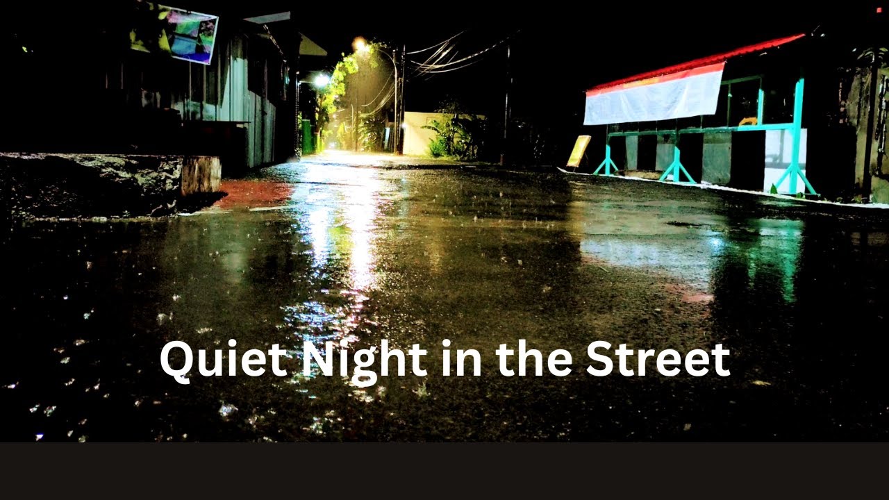 Quiet Night in the Street with Relaxing Sounds of Rain Falling Down Empty Alleys, Puddles & Leaves