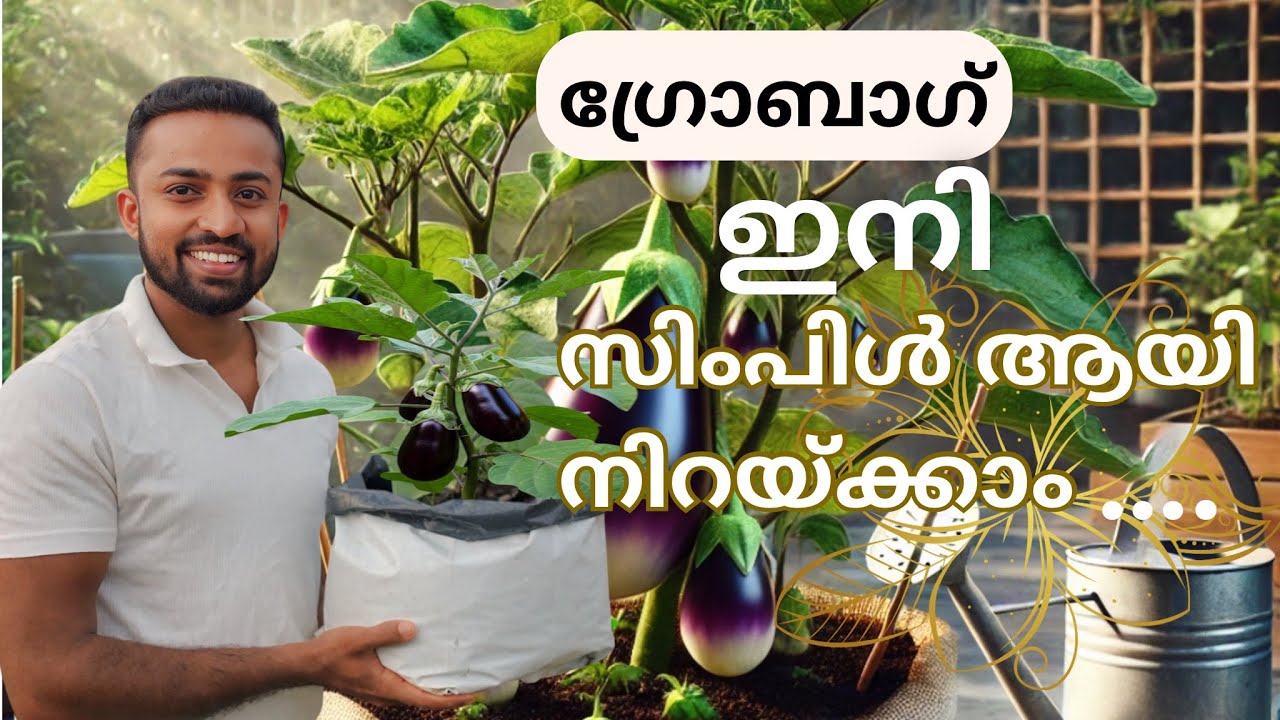 ഗ്രോബാഗ്  ഇനി സിംപിൾ ആയി നിറയ്ക്കാം/How To Fill Grow Bag For Vegetable Farming#farming #agriculture