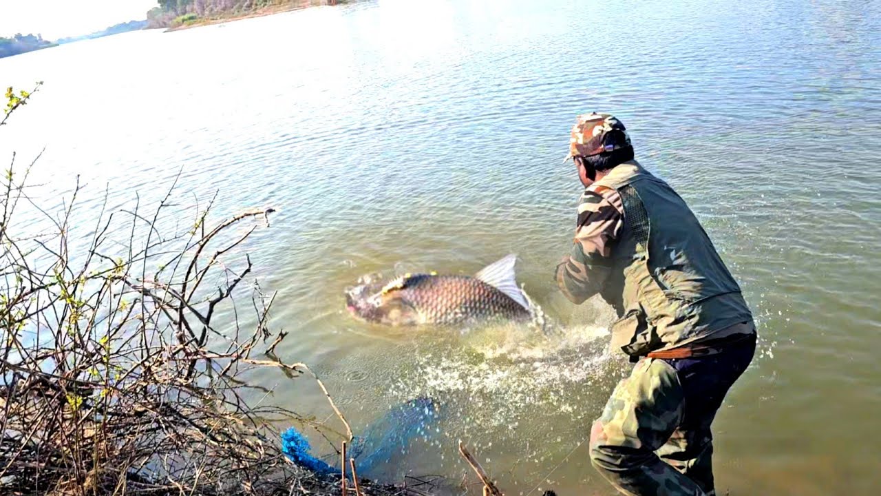 Amazing Fishing Video || Big Catla Fish Catching || Feeder Fishing Techniques
