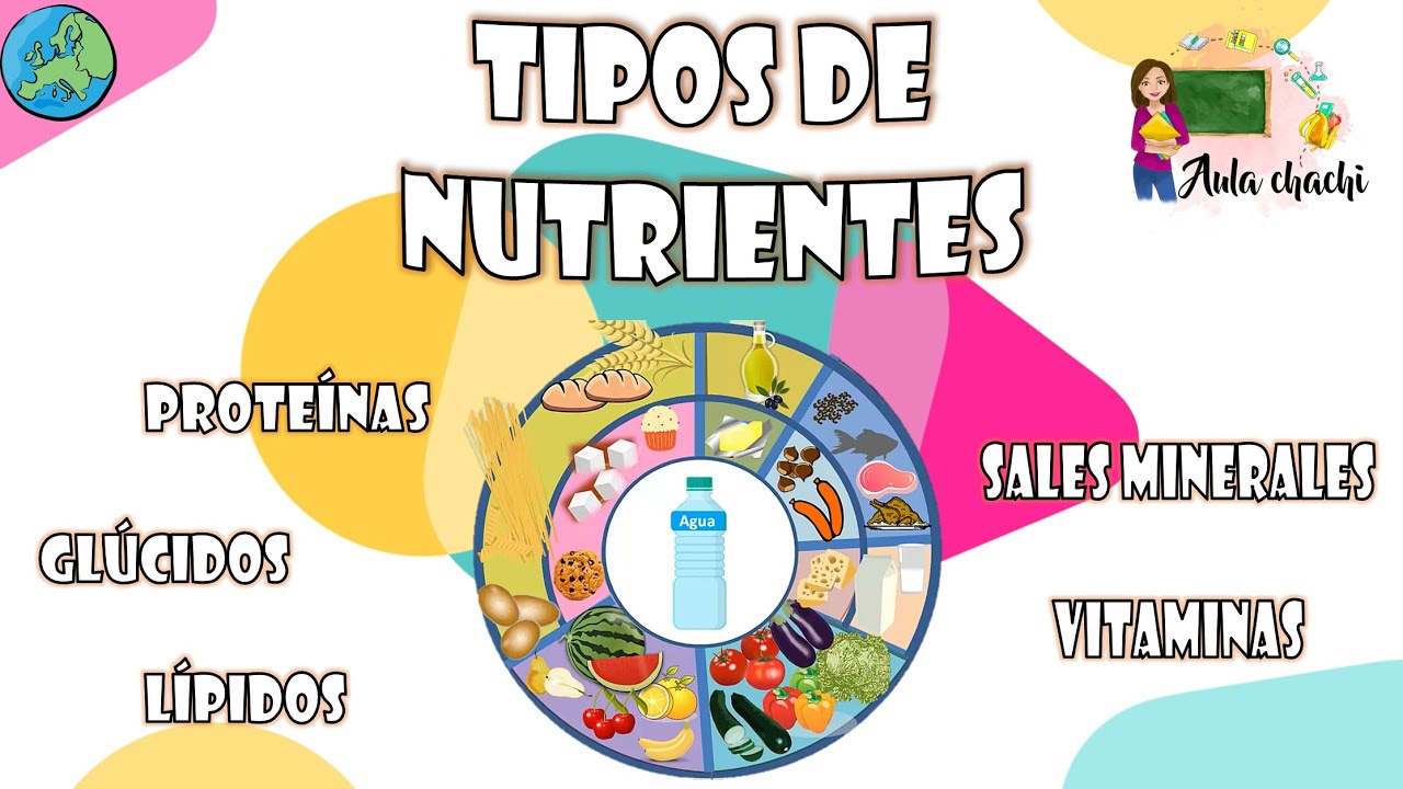 Tipos de Nutrientes | Aula chachi - Vídeos educativos para niños
