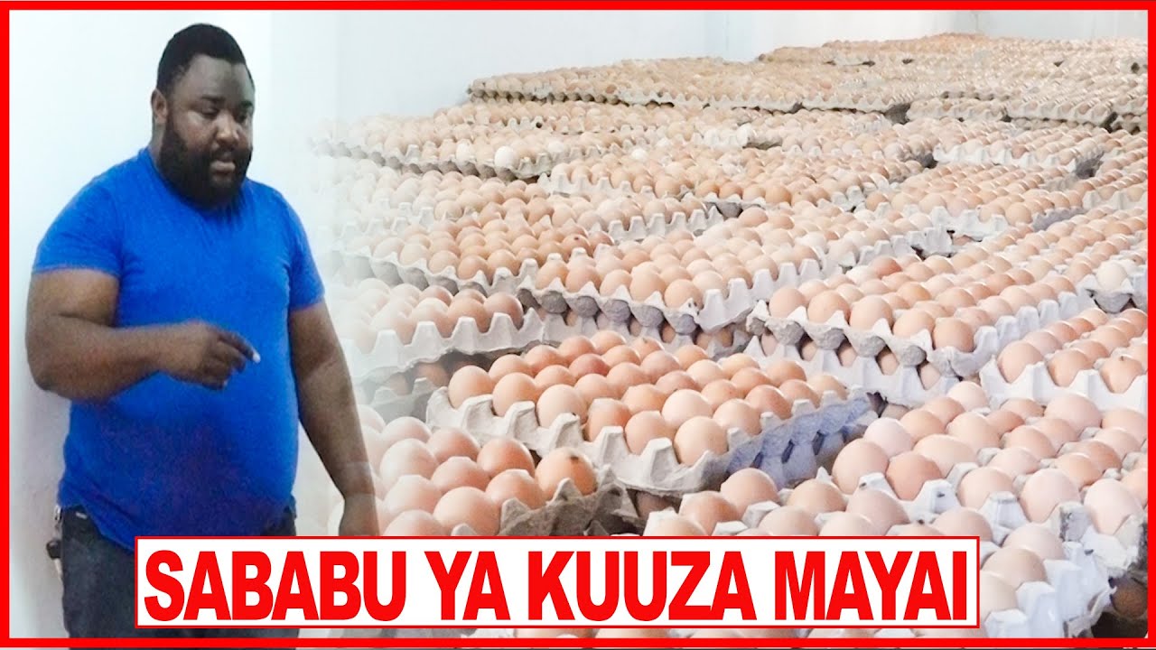 BONI JACOB WA CHADEMA afunguka sababu ya KUANZA KUUZA MAYAI NJE YA SIASA 