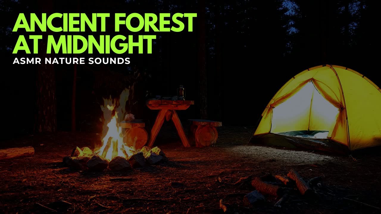 Ancient Forest at Midnight – ASMR Nature Sounds