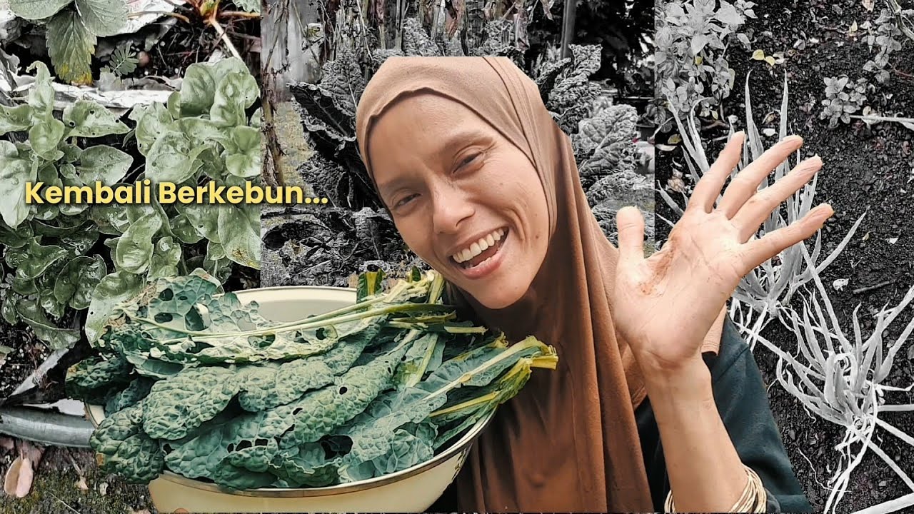 Akhirnya, Kembali Berkebun..