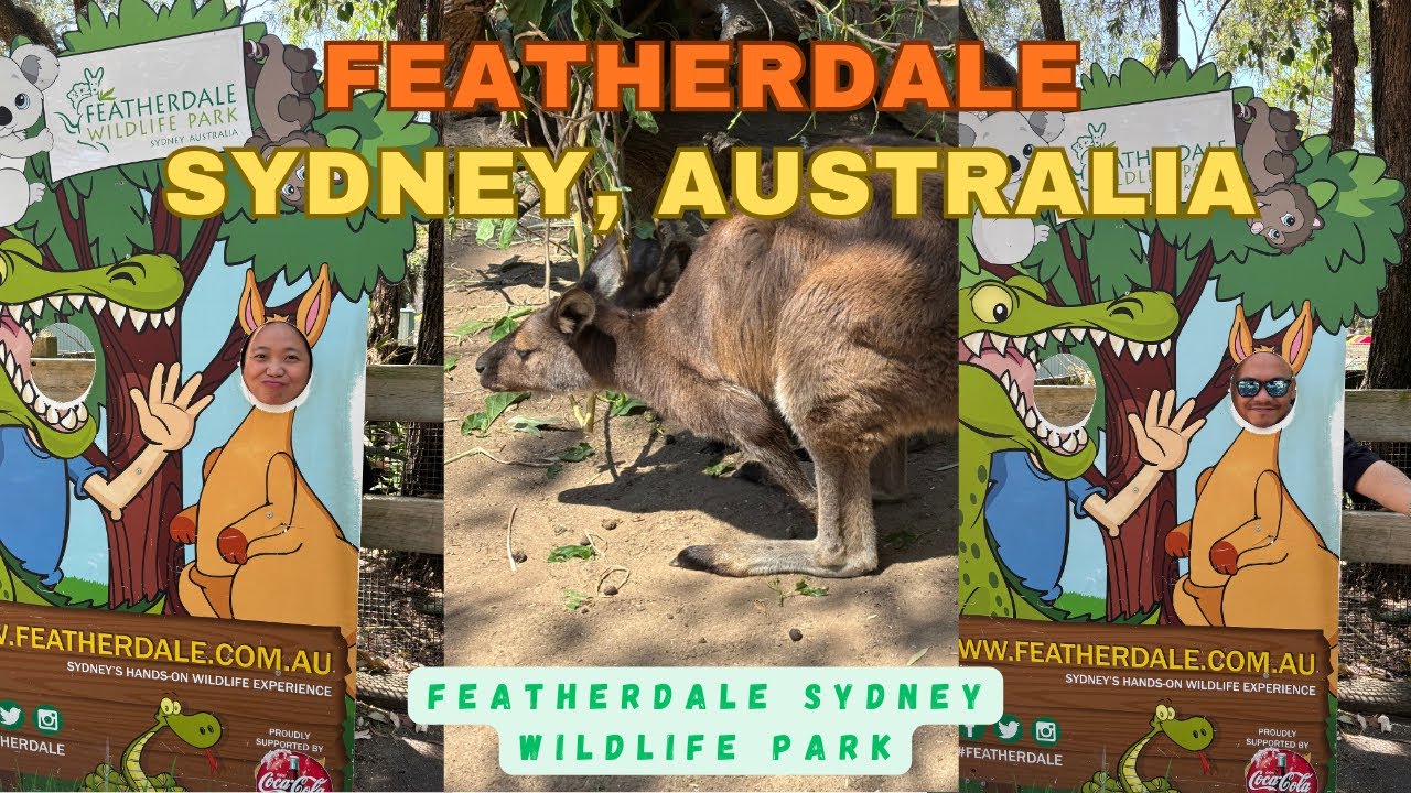 Up Close With Aussie Animals 🐨  Featherdale Sydney Wildlife Park Vlog