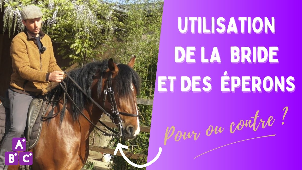 ⭐ Quel niveau pour utiliser une bride et des &eacute;perons ? ⭐