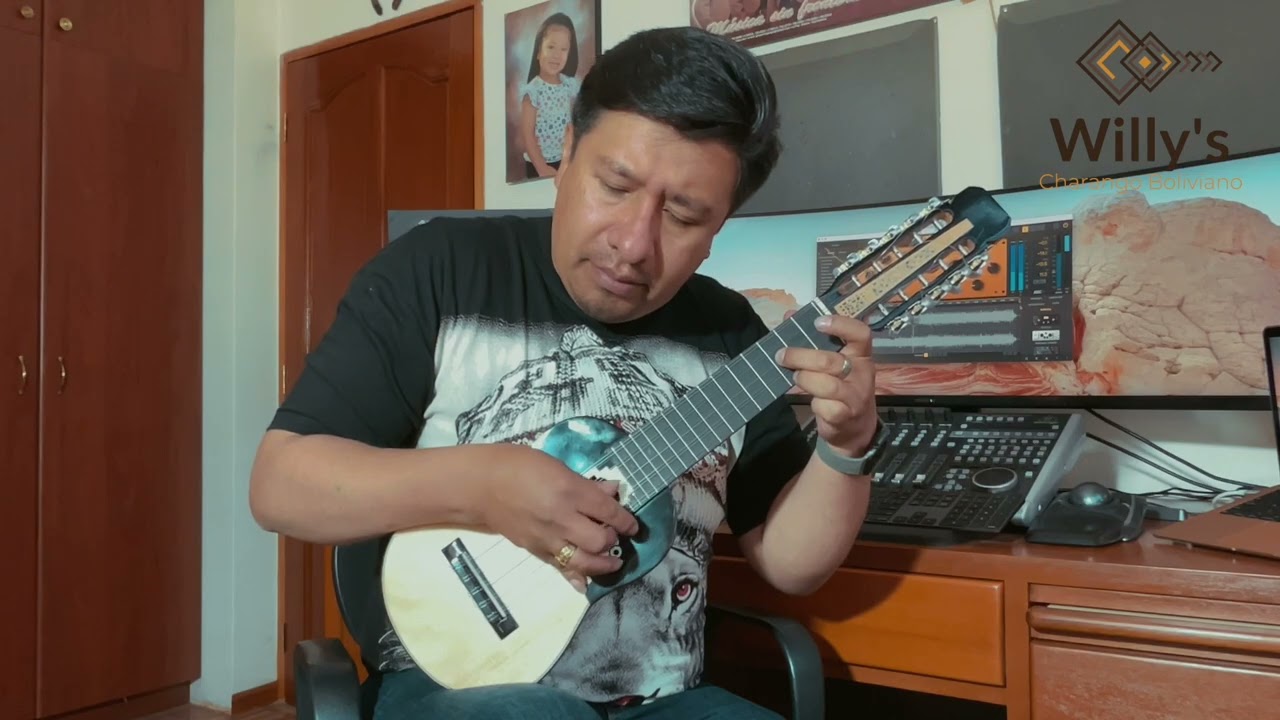 WILLYS - MARY ES MI AMOR - En charango ( Leo Dan )