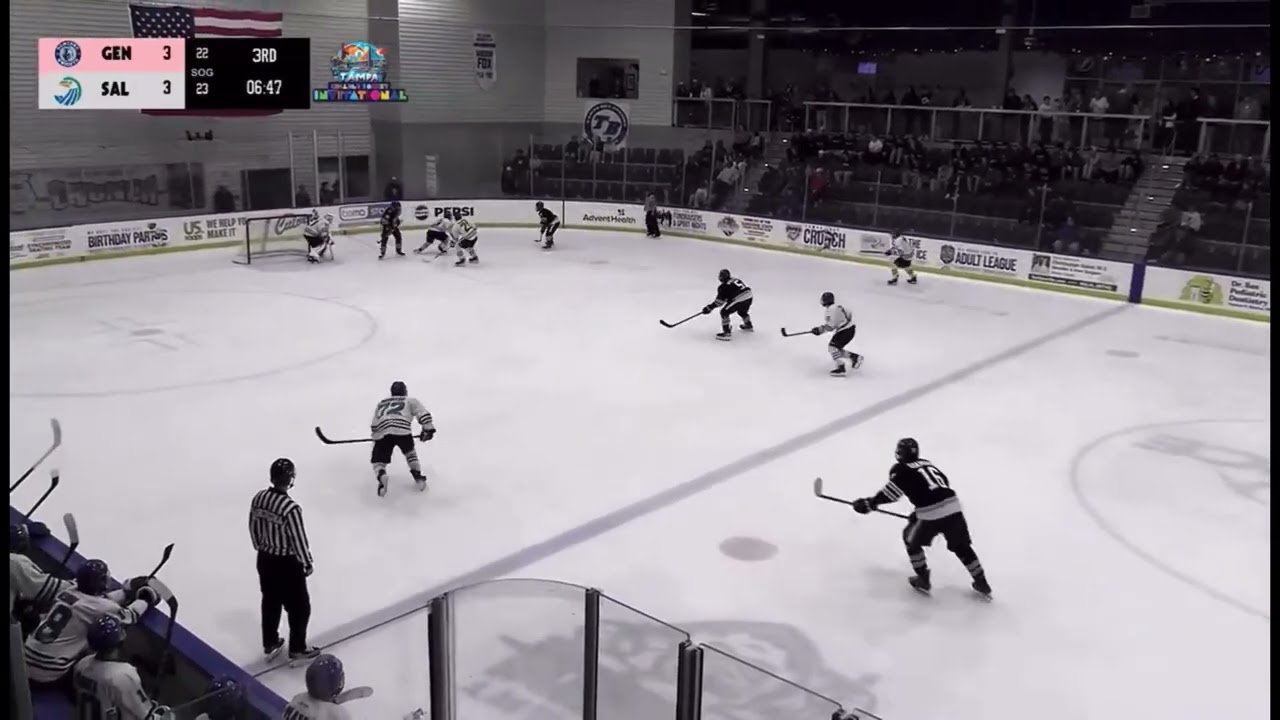 Alex Dameski #21 - SUNY Geneseo Highlights 2025/26