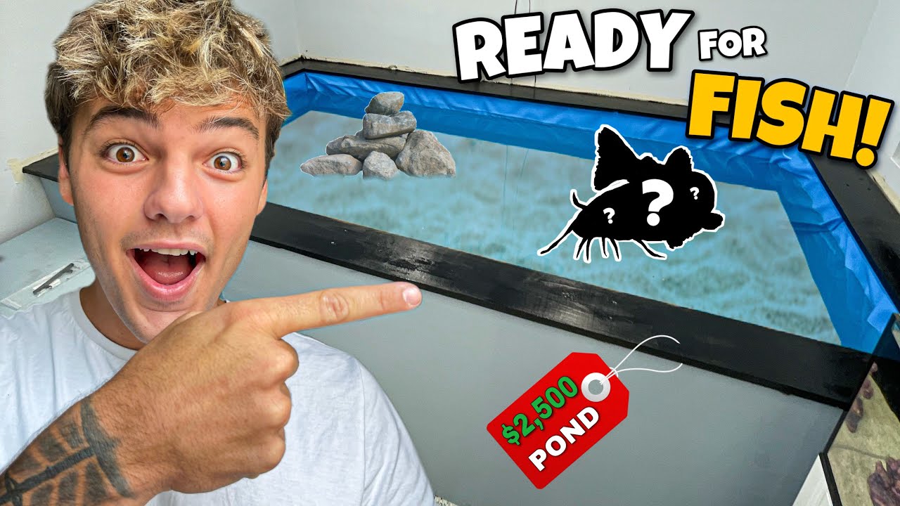 My 1000G POND is READY for FISH!! (what should we get)