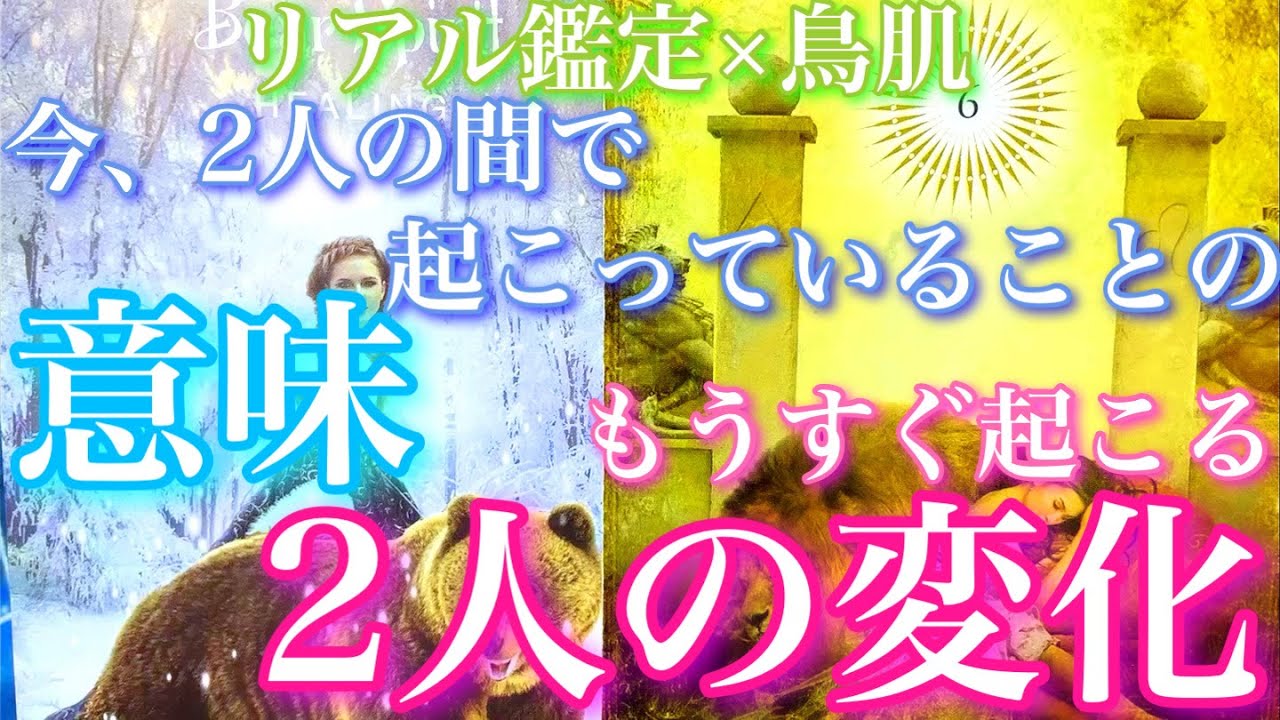 💕リアル過ぎて鳥肌🍁今、2人の間で起こっていることの意味、もうすぐ起こる2人の変化🦋