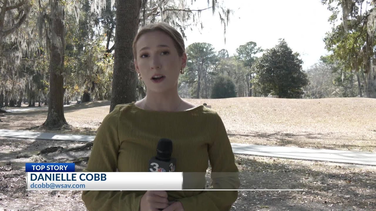Bluffton neighborhood divided over targeted deer removal decision