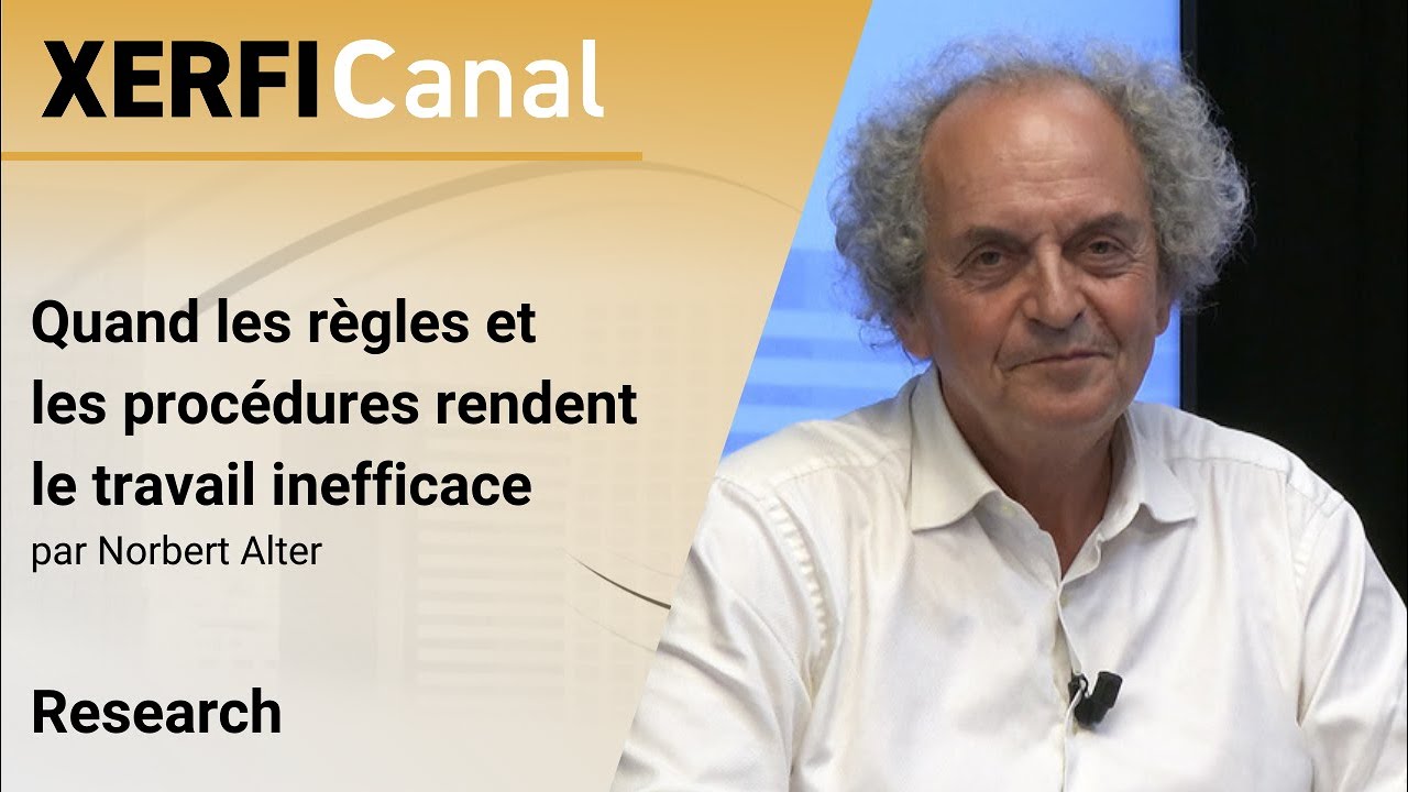 Quand les règles et les procédures rendent le travail inefficace [Norbert Alter]