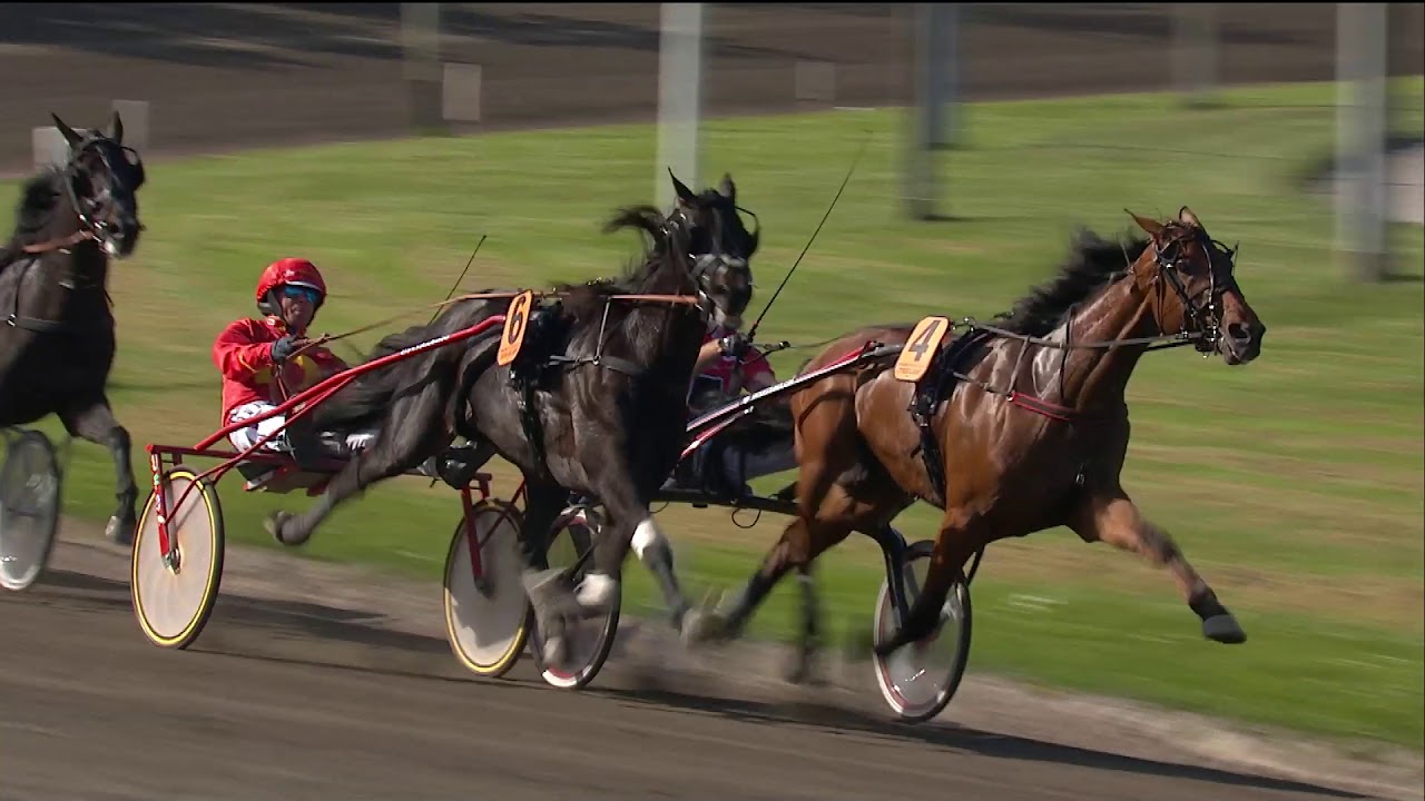 Copenhagen Cup 2018 på Charlottenlund Travbane