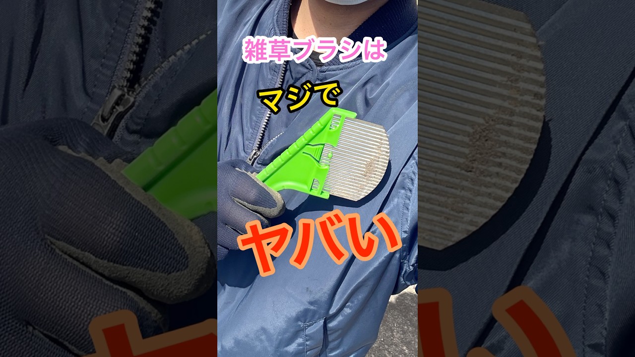 雑草ブラシを使って草刈りしたら衝撃的だった！最強雑草対策#shorts