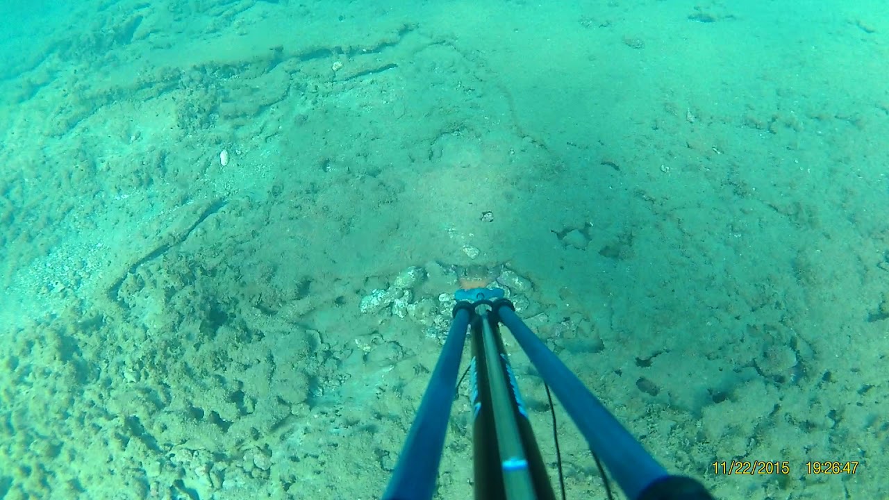 pesca Pozzuoli (2)