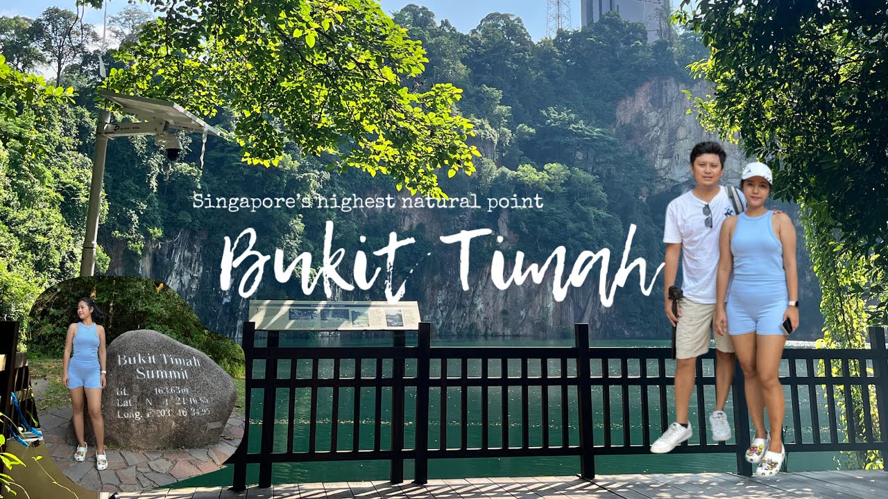 Lets hike to Bukit Timah Nature Reserve || Singapore #singapore  #bukittimah