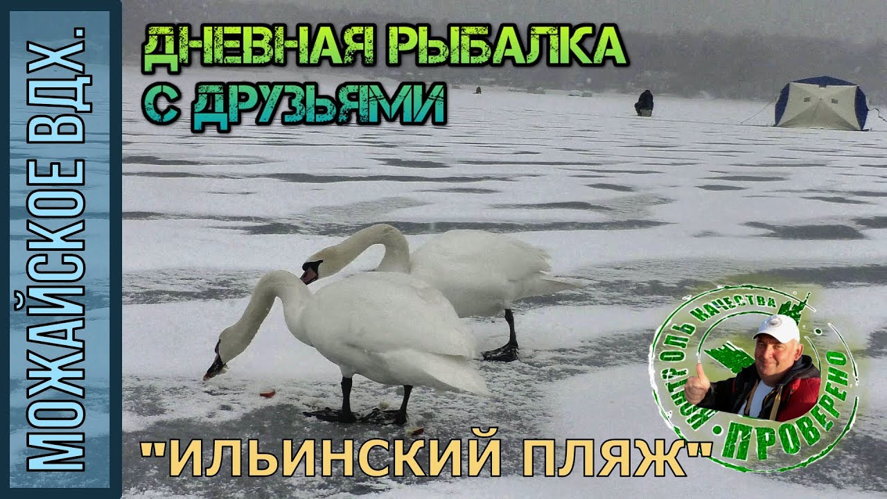 Рыбалка на Можайском вдх. / Белые ЛЕБЕДИ НА ЛЬДУ! / Ильинское.