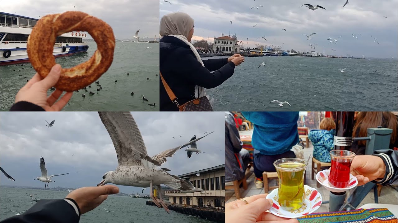 جولة  مع زوجي طعمنا النورس والبط في كاديكوي 