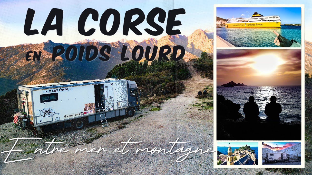 #94 – Rencontres animales – vie en camion aménagé #vanlife #nomade #corse