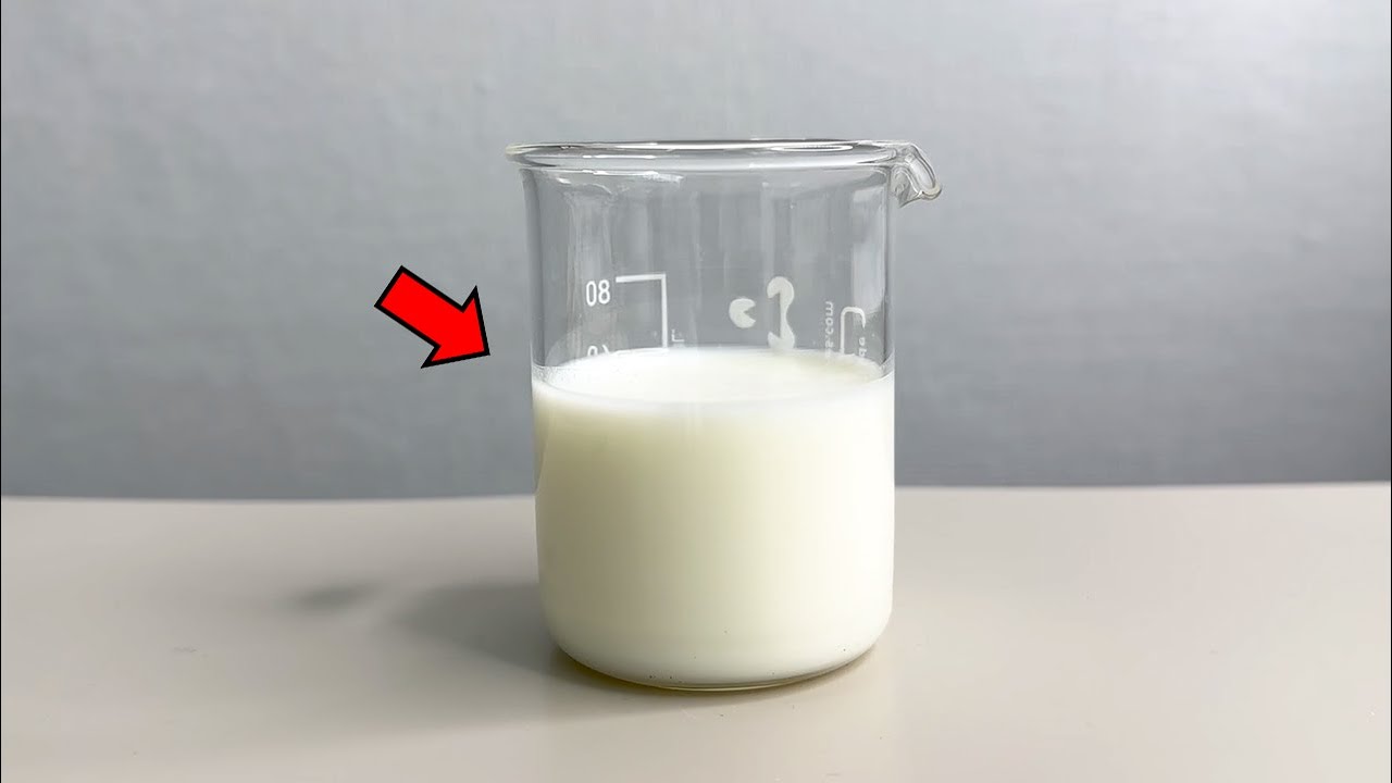 Raw Vs Pasteurized Milk, What’s the Difference - Milk Dissection