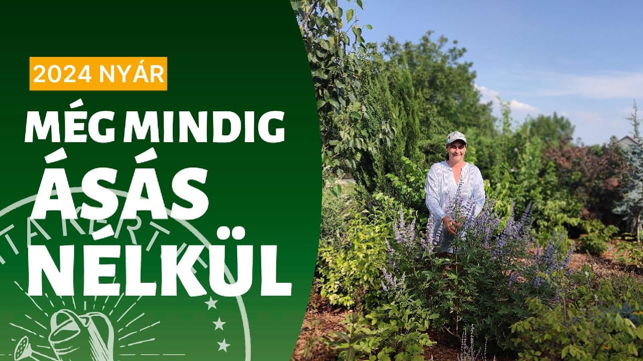 Még mindig ásás nélkül