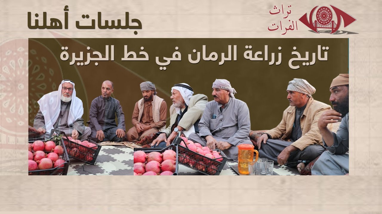تاريخ زراعة الرمان في خط الجزيرة #تراث_الفرات