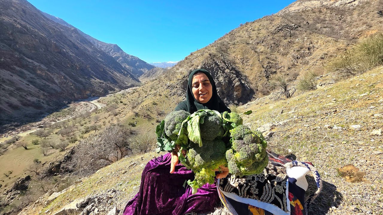 🌿😲 Mountain Herb That Heals Stomach Pain! Picked by a Nomadic Woman