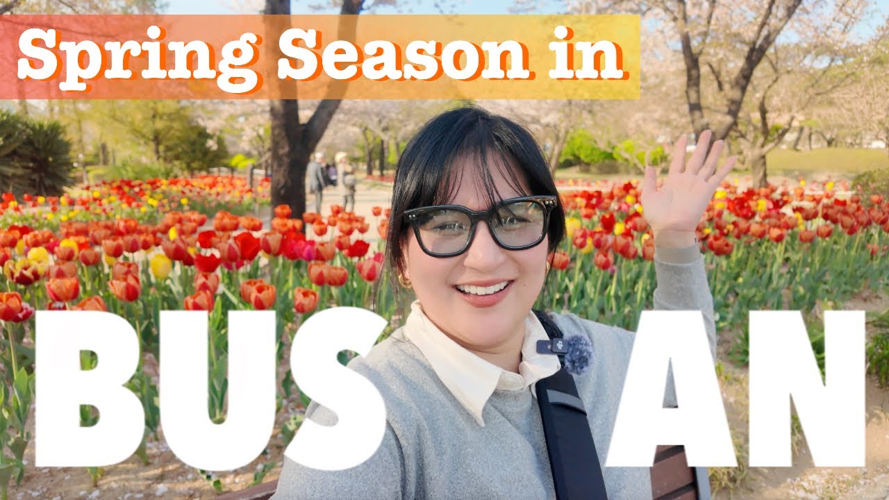 🌸Cherry Blossom Season in Busan, South Korea | Best Spots,Travel Tips & What to Expect🌸 @krislumagui