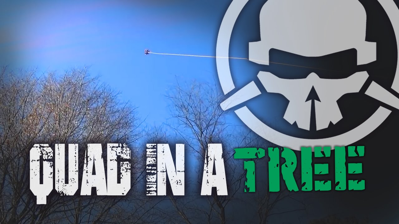 Quad in a Tree