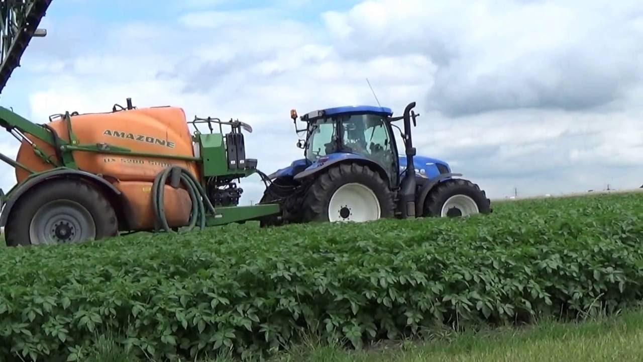 NEW HOLLAND T 6.160 MET EEN AMAZONE 5200 SUPER & GPS