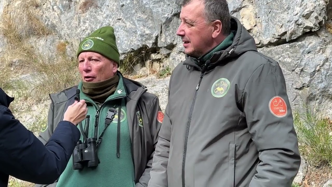 Con i Birders del Furlo, sentinelle delle aquile reali