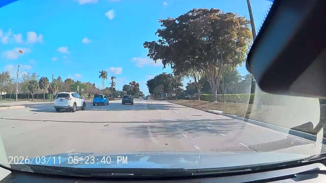 Only in Florida: The Most Unreal Highway Moment Ever Recorded