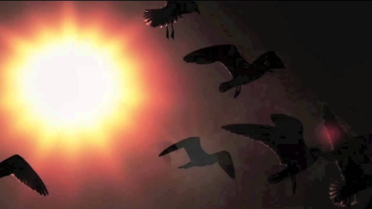 Tolerance - Dejection (HD)