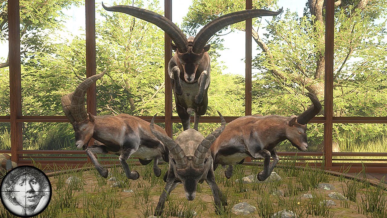Diamond Ibex Grand Slam Guide - Map with All Ibex Locations [theHunter: Call of the Wild 2021]
