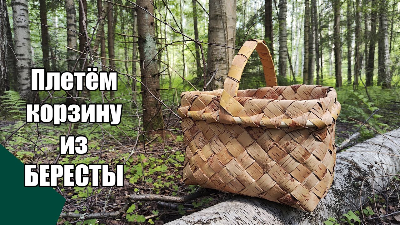 Плетём корзину из бересты
