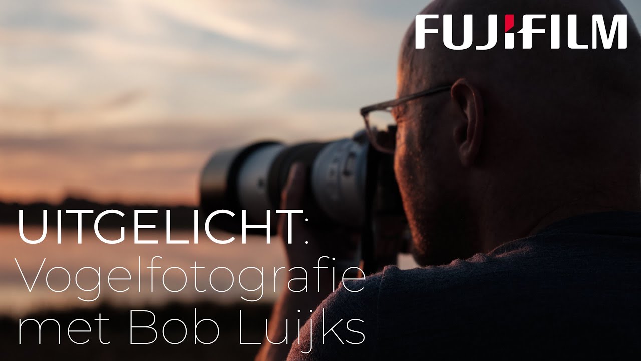 UItgelicht: Vogelfotografie met Bob Luijks