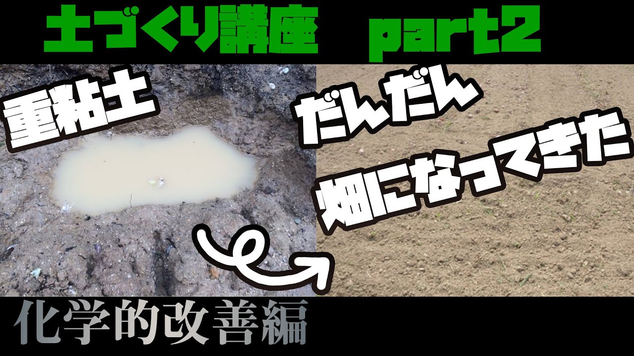 土づくりの基礎【土壌改良②】堆肥や石灰、夏野菜の準備