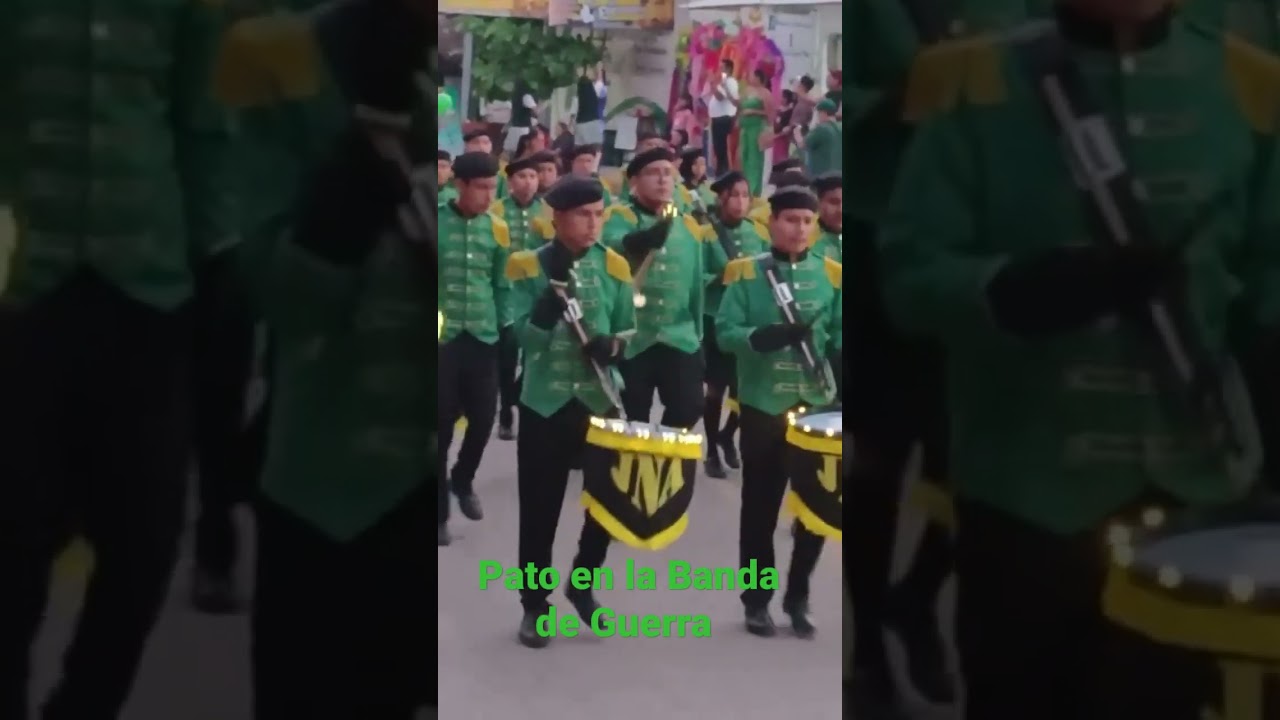 Pato en la Banda de Guerra😁
