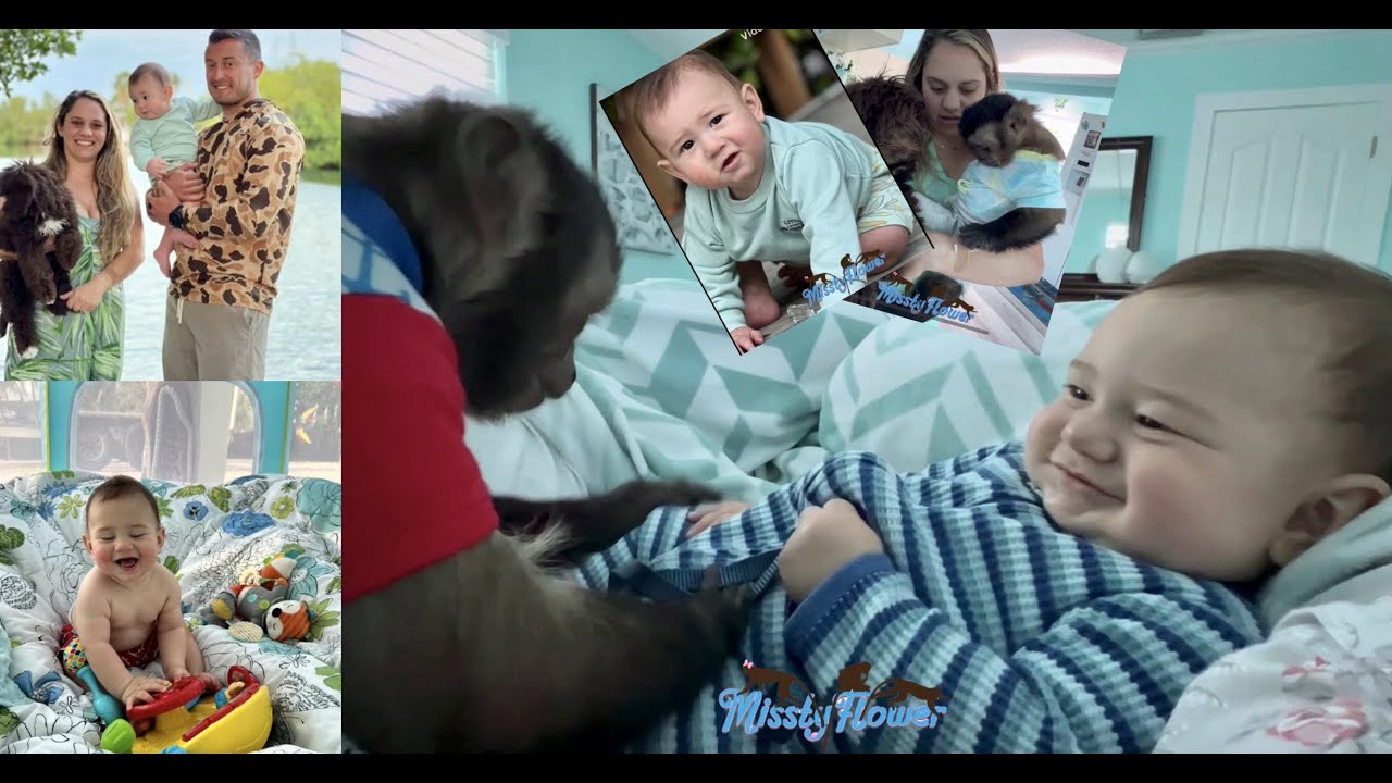 Monkeys, baby, dogs, what happened to Sissy’s arm?? A few videos put together for you, Happy Sunday