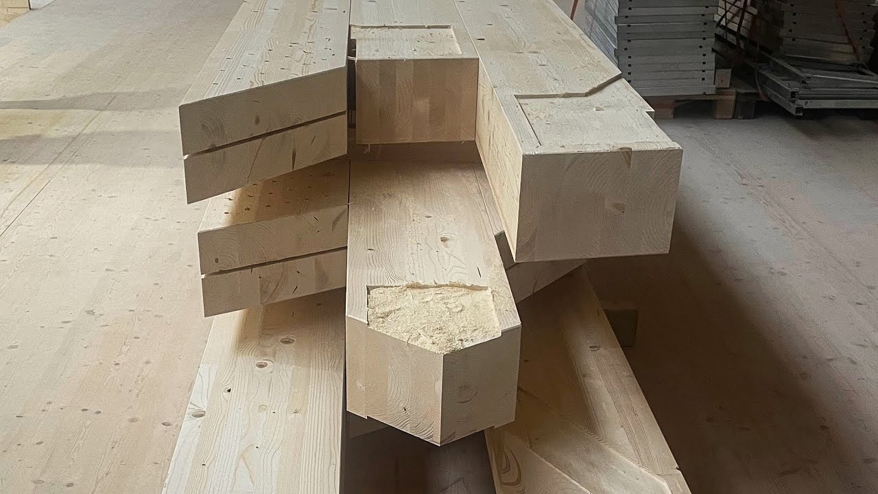 Fokusgespräch: Vom Baum zum Element