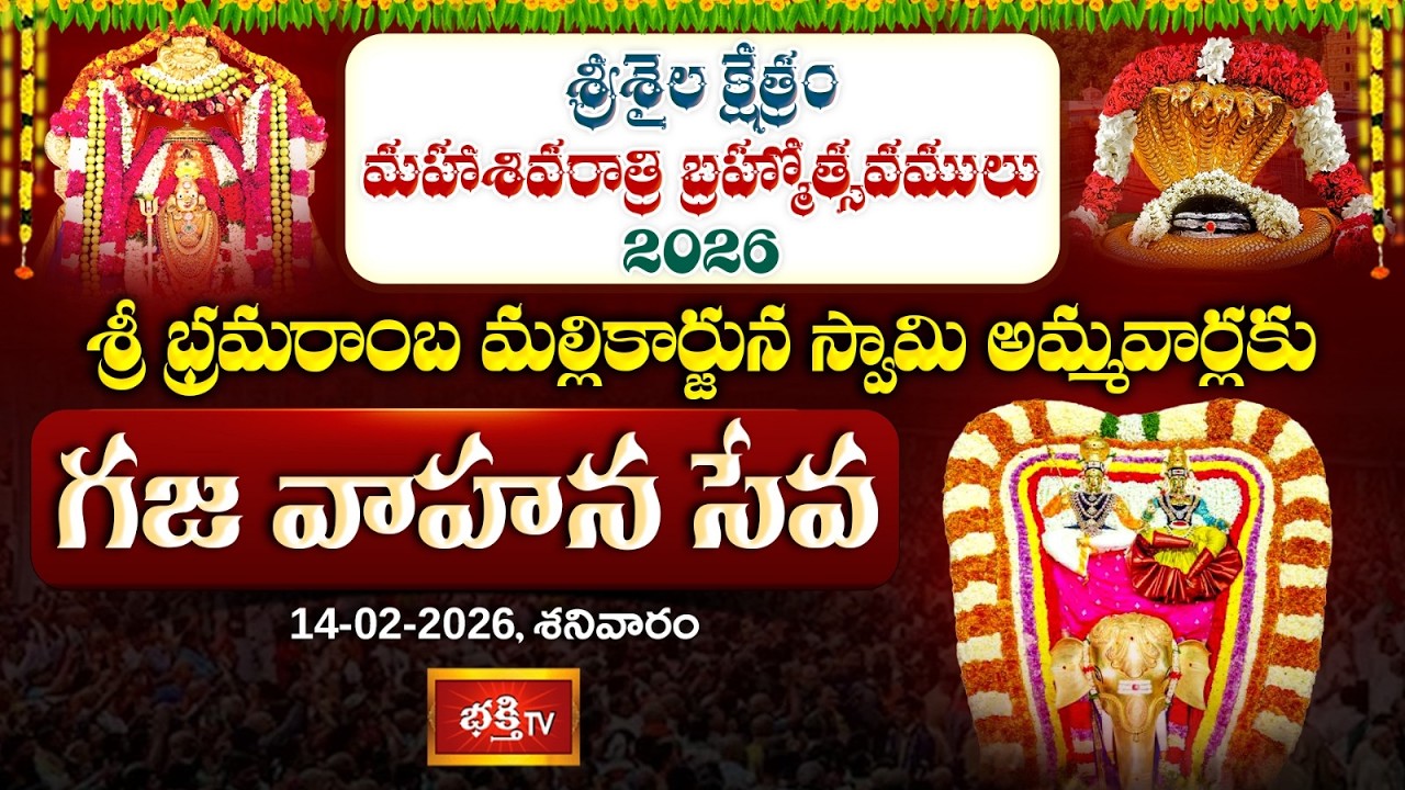 శ్రీభ్రమరాంబ మల్లికార్జున స్వామి అమ్మవార్లకుగజ వాహన సేవ | Maha Shivaratri Brahmotsavams in Srisailam