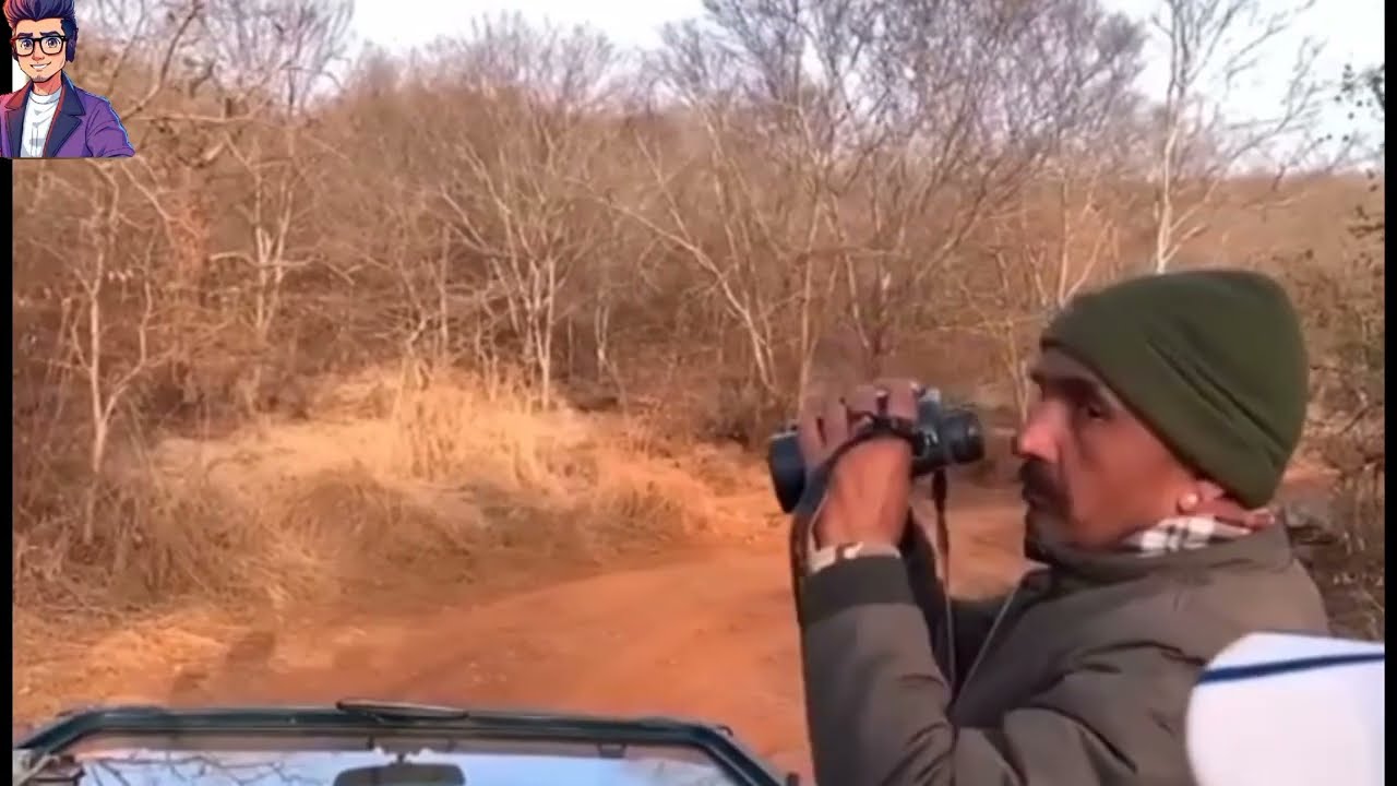 Top 4 Scariest Tiger Attack Caught On Camera | Real safari Moments Filmed