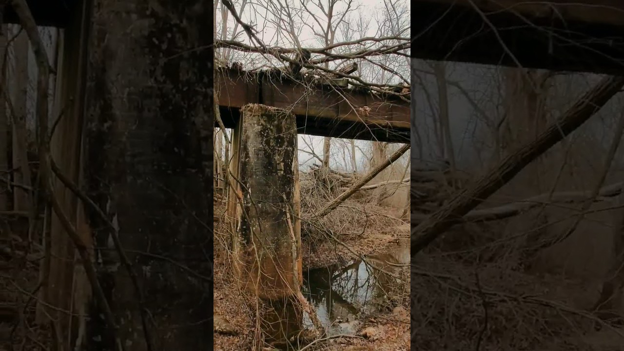 FORGOTTEN Train Bridge in the Woods