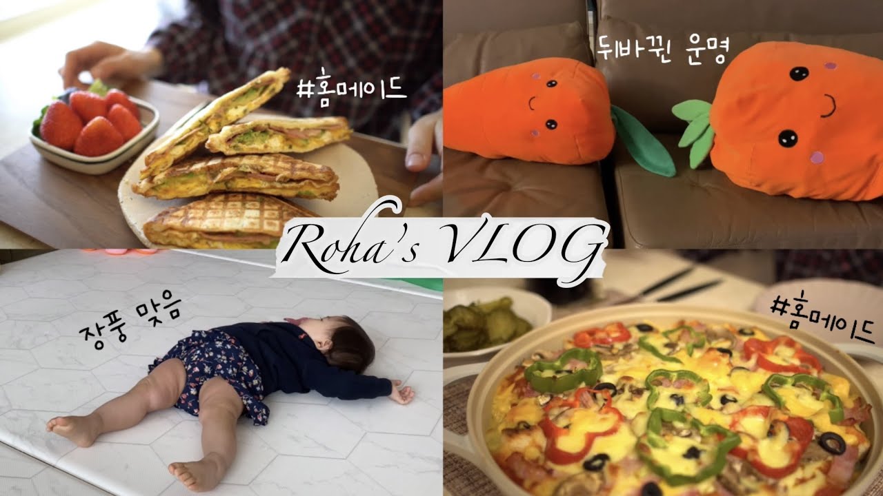 [일상 브이로그] 돌치레, 당근이 응급 수술, 떠먹는 식빵 피자, 베이컨 아보카도 토스트, 김치 대패삼겹살 볶음밥, 오륙도 스카이워크